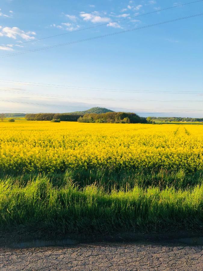 Nibylandia Dom Pod Lasem Nowa Wies Grodziska Exterior photo